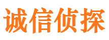 陕县市侦探调查公司